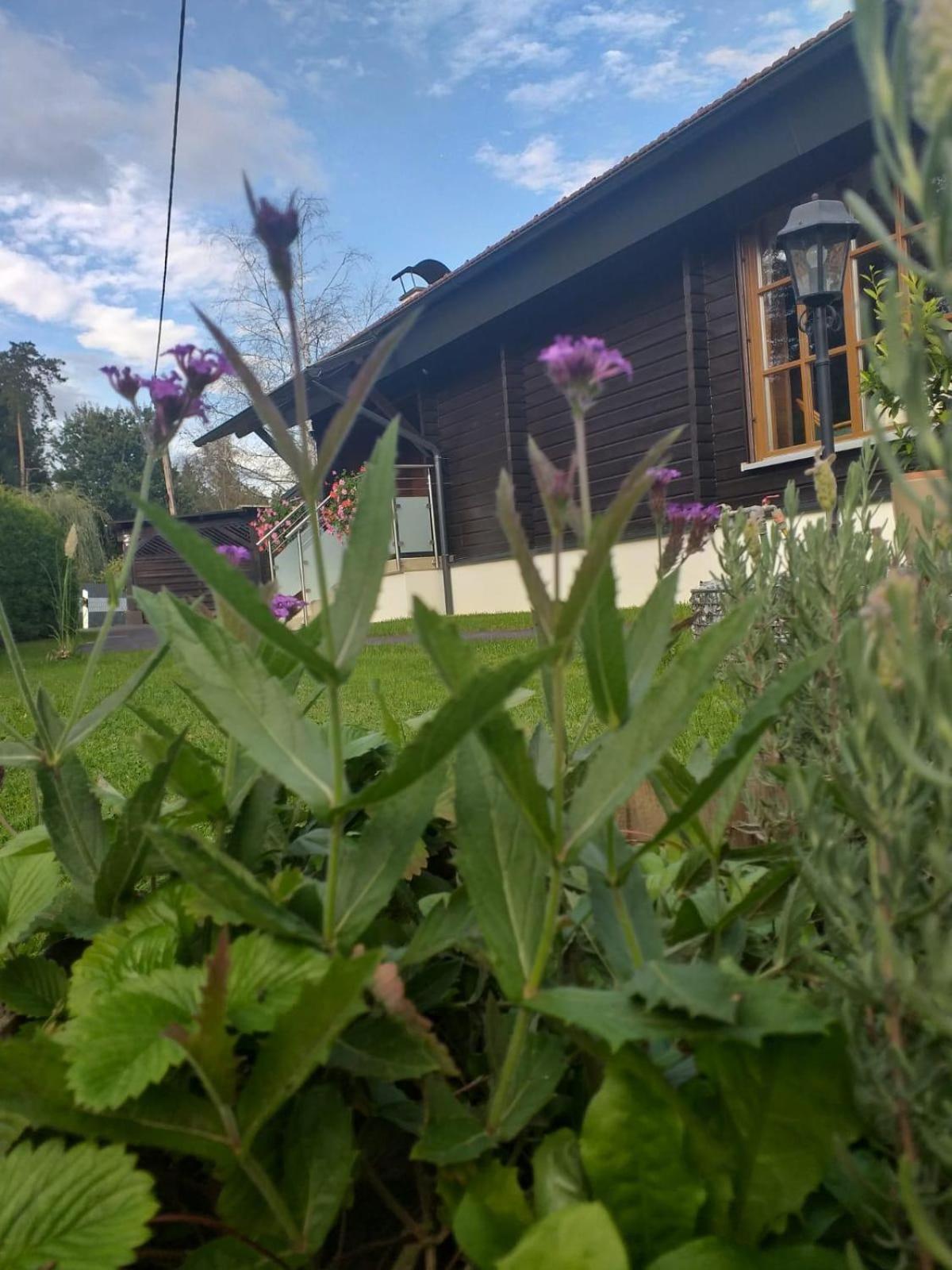 Ferienhaus Kumpitsch Vila Sankt Johann im Saggautal Exterior foto